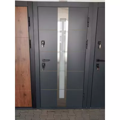 Двері вхідні вуличні, зразок 11